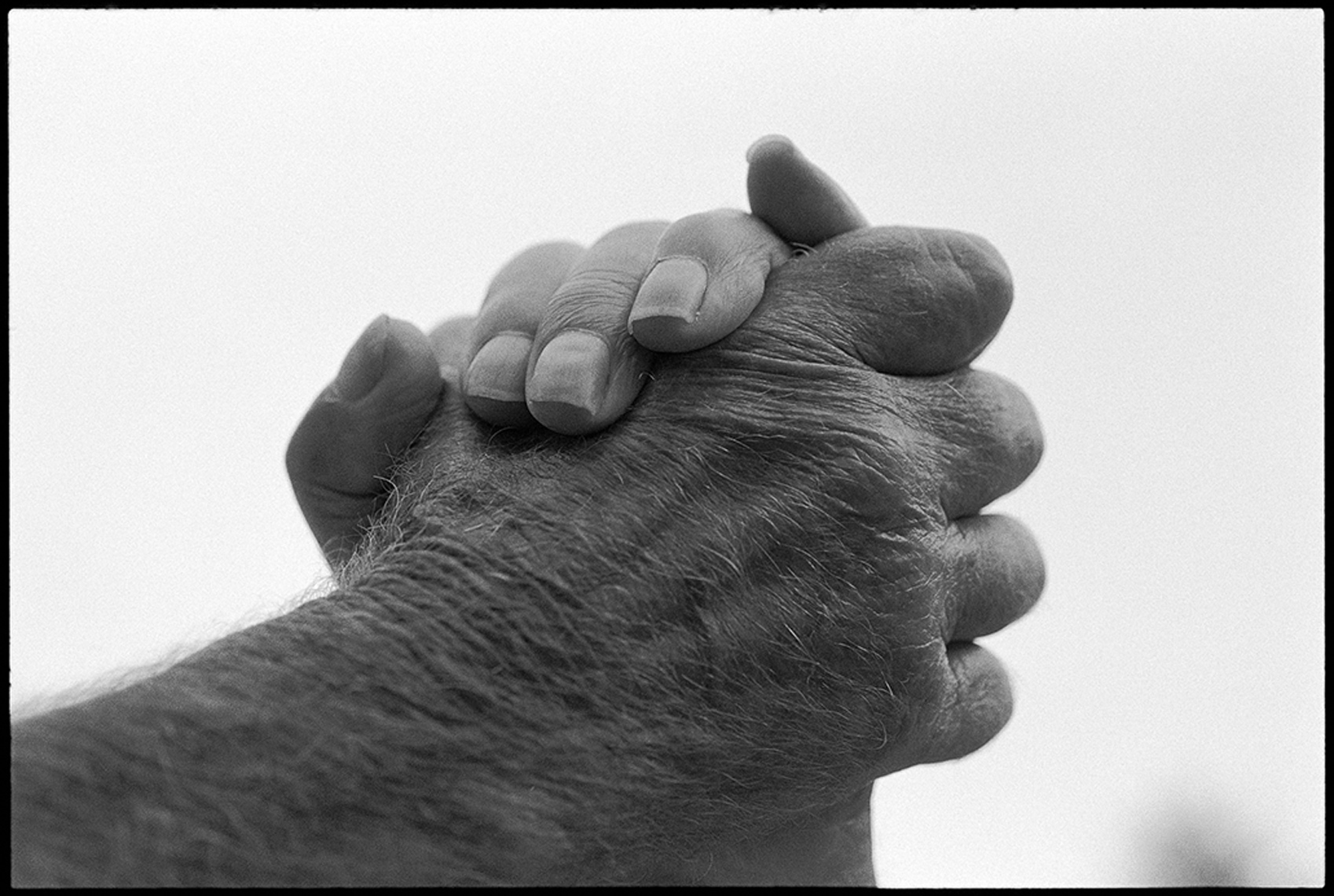 8-BW_adj